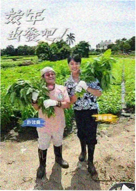 手机在线观看综艺边走边唱封面